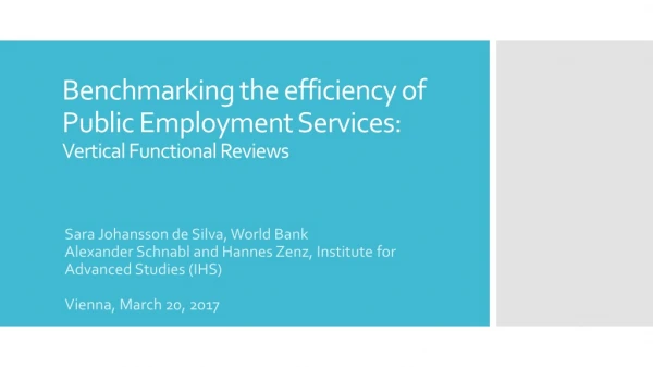 Benchmarking the efficiency of Public Employment Services: Vertical Functional Reviews