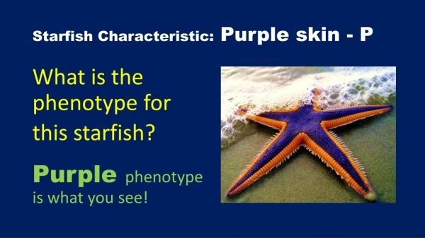 Starfish Characteristic: Purple skin - P