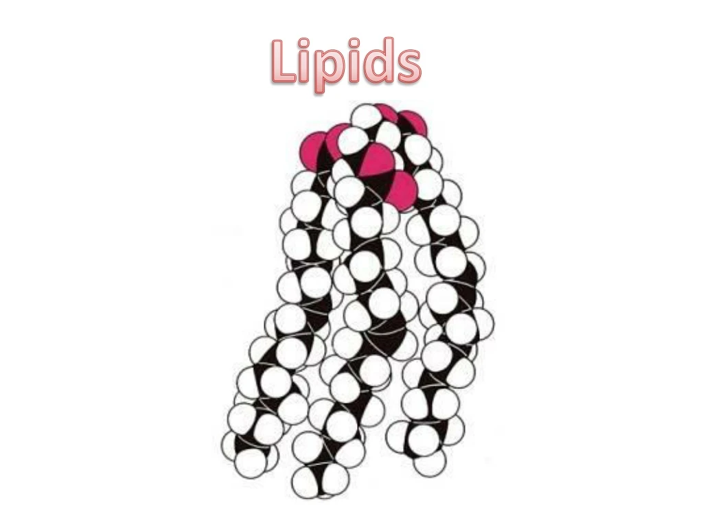 lipids