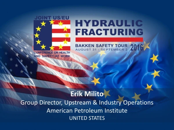 Erik Milito Group Director, Upstream &amp; Industry Operations American Petroleum Institute
