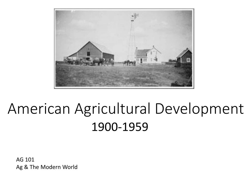 american agricultural development