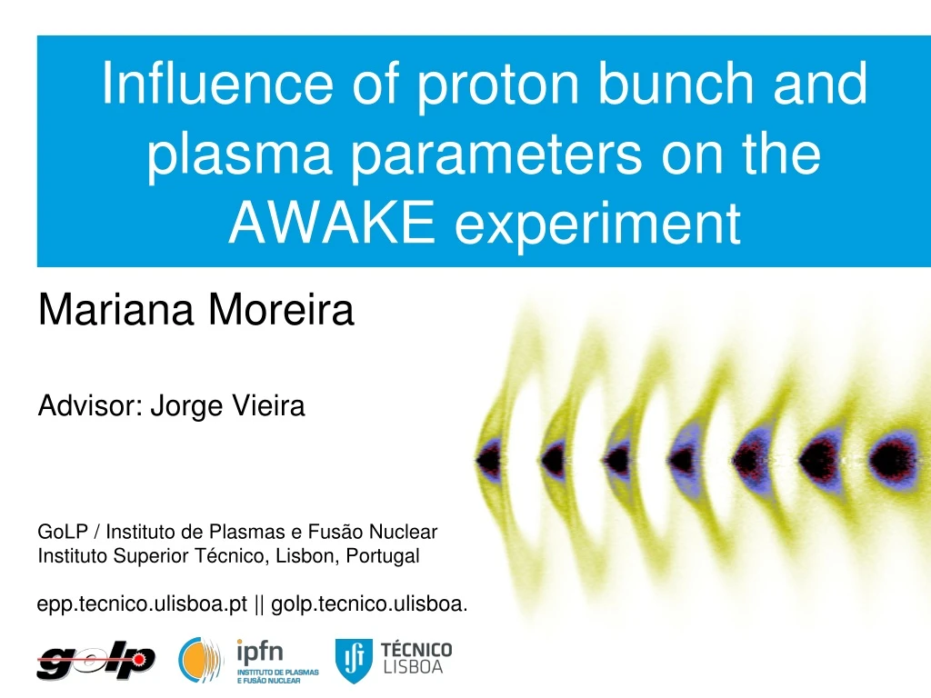 influence of proton bunch and plasma parameters