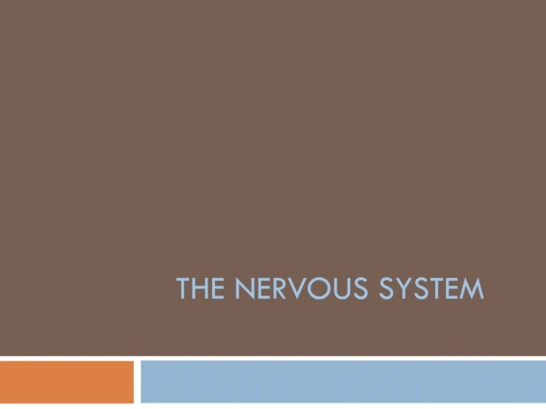 THE NERVOUS SYSTEM