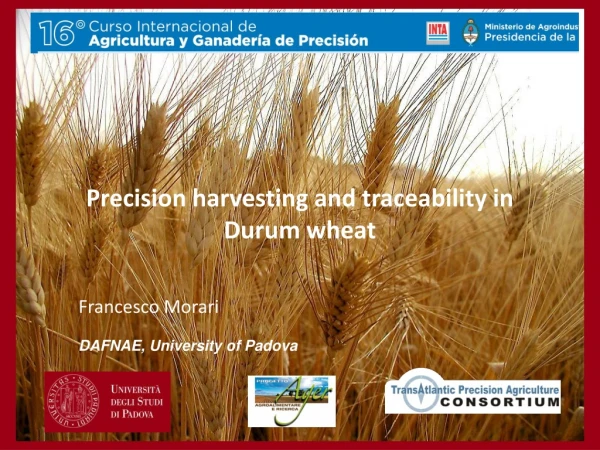 Precision harvesting and traceability in Durum wheat