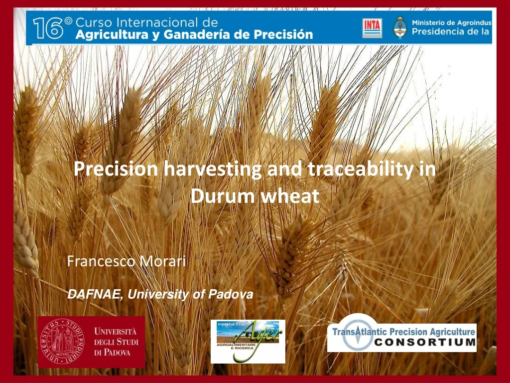 precision harvesting and traceability in durum wheat