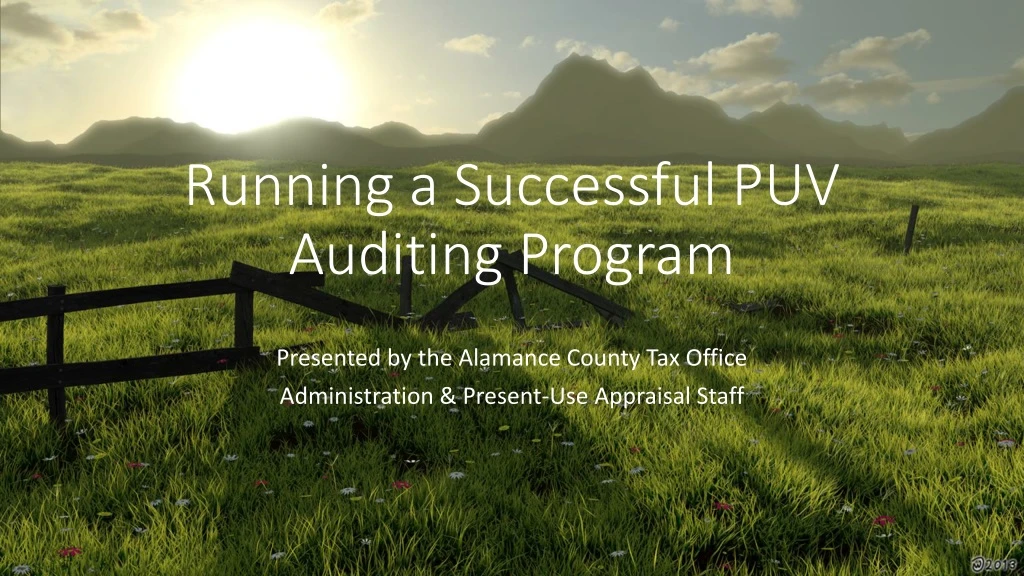 running a successful puv auditing program