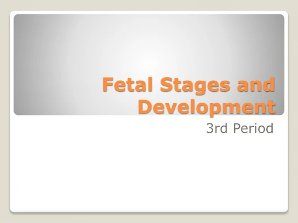 Fetal Stages and Development