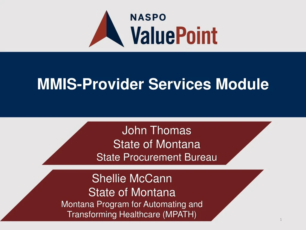 mmis provider services module