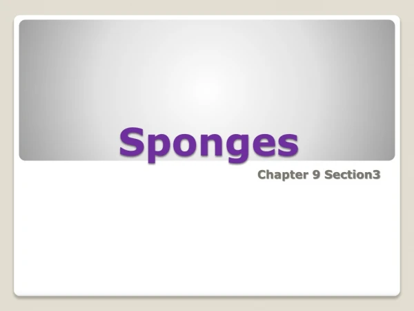 Sponges