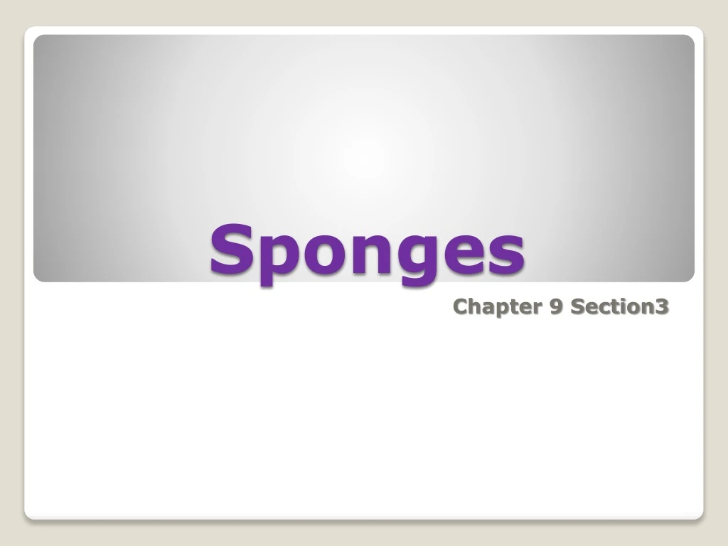 sponges