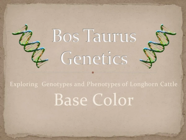 Bos Taurus Genetics