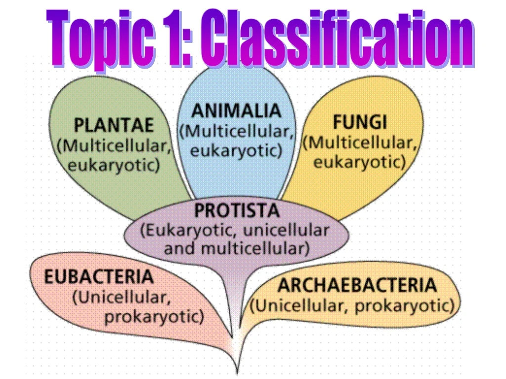 topic 1 classification