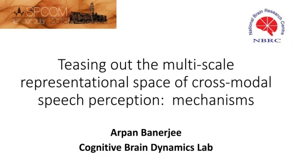Teasing out the multi-scale representational space of cross-modal speech perception:  mechanisms
