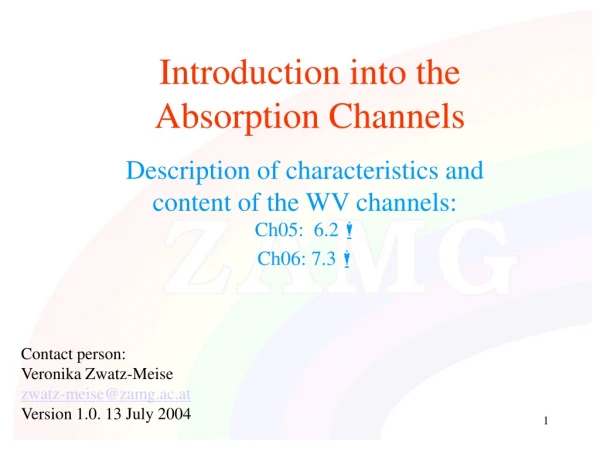 Introduction into the Absorption Channels
