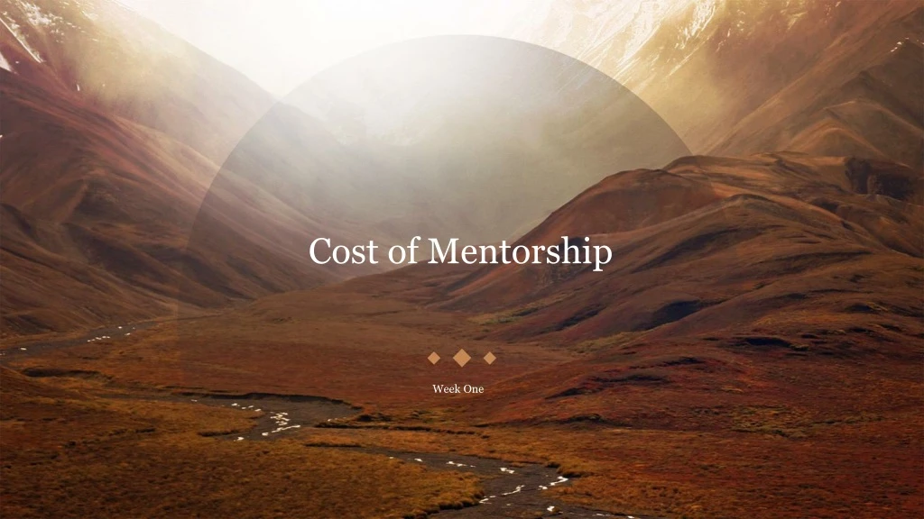 cost of mentorship