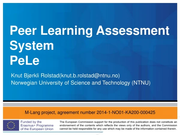 Peer Learning Assessment System PeLe