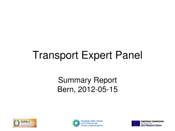 Transport Expert Panel