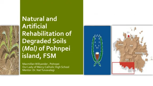 Natural and Artificial Rehabilitation of Degraded Soils ( Mal) of Pohnpei island, FSM