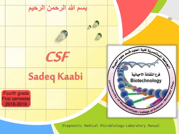 CSF Sadeq Kaabi