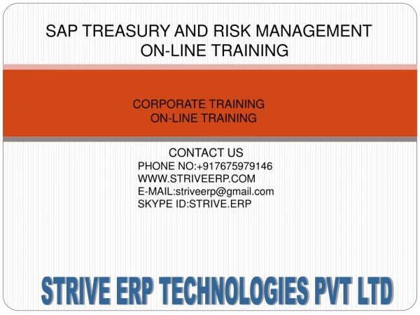 SAP TREASURY AND RISK MANAGEMENT ON-LINE TRAINING