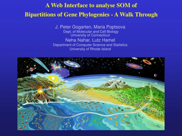 A Web Interface to analyse SOM of Bipartitions of Gene Phylogenies - A Walk Through