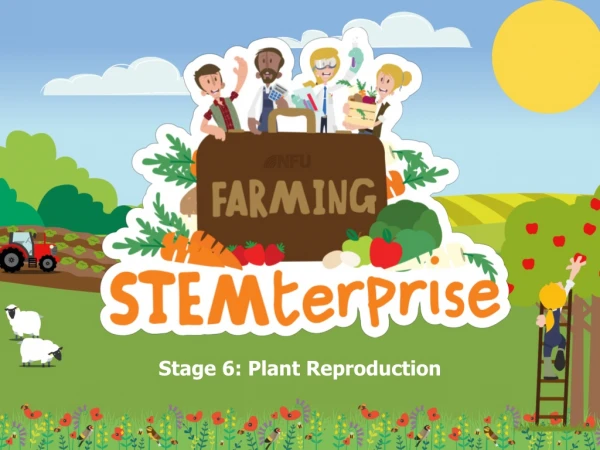 Stage 6: Plant R eproduction