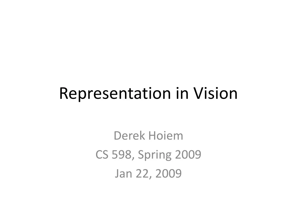 representation in vision
