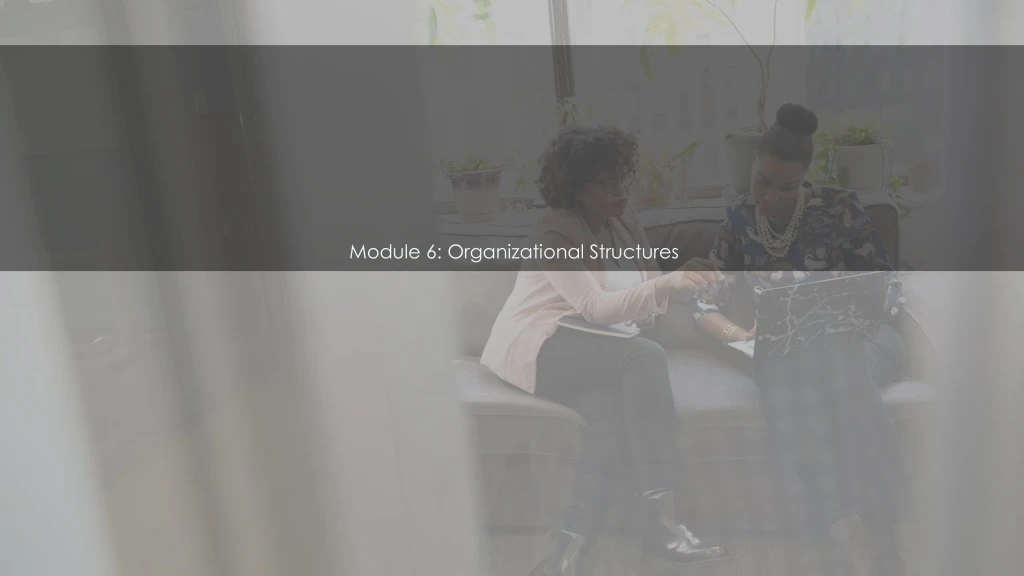 module 6 organizational structures