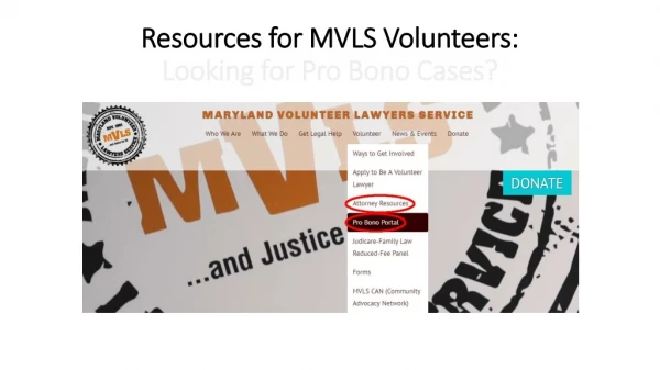 Resources for MVLS Volunteers: Looking for Pro Bono Cases?