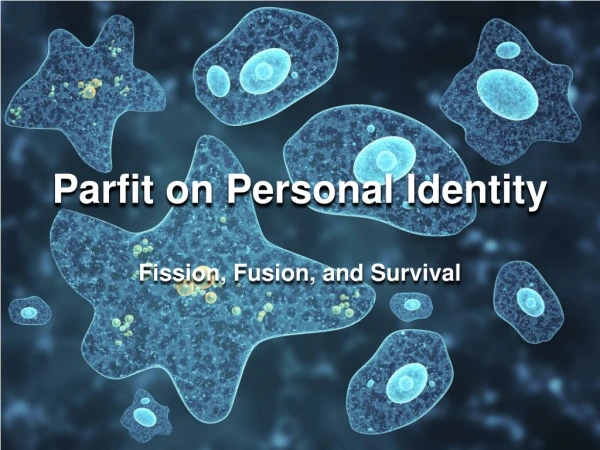 Parfit on Personal Identity