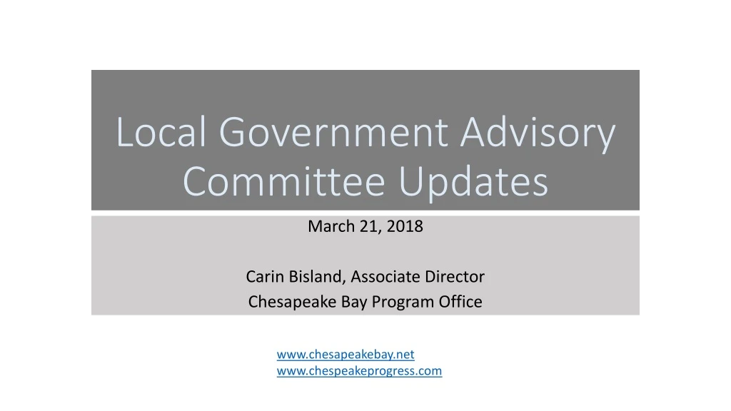 local government advisory committee updates