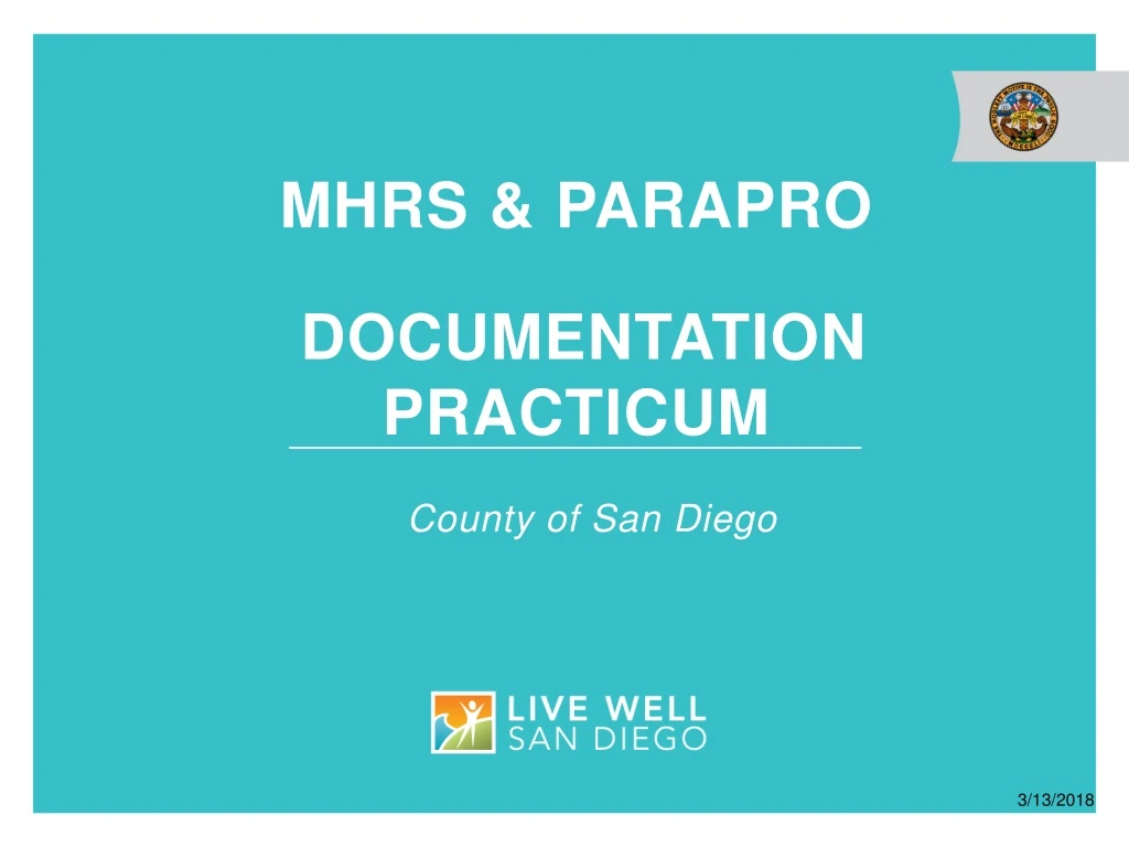 mhrs parapro documentation practicum