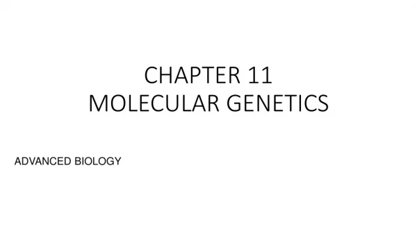 CHAPTER 11 MOLECULAR GENETICS