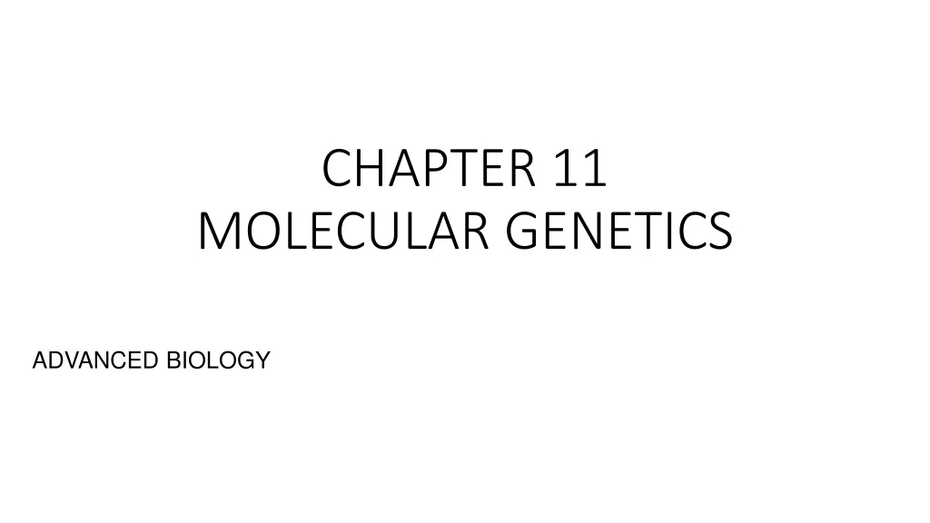 chapter 11 molecular genetics