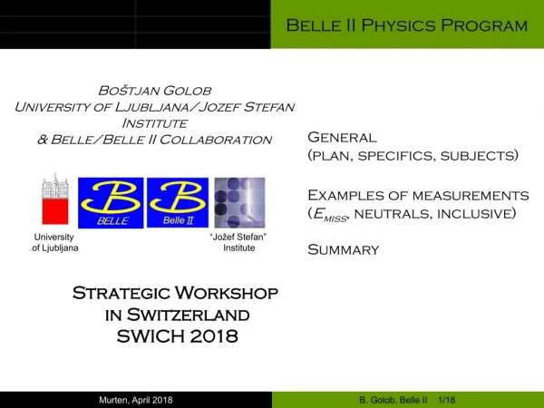 Belle II Physics Program