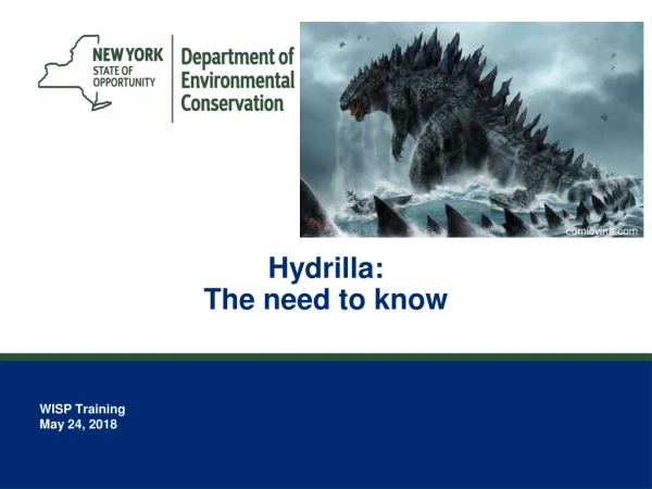 Hydrilla: The need to know