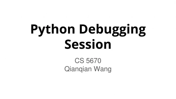 Python Debugging Session