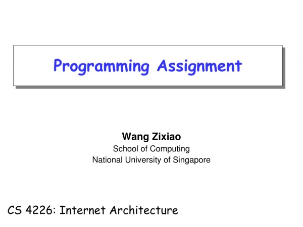 Wang Zixiao School of Computing National University of Singapore