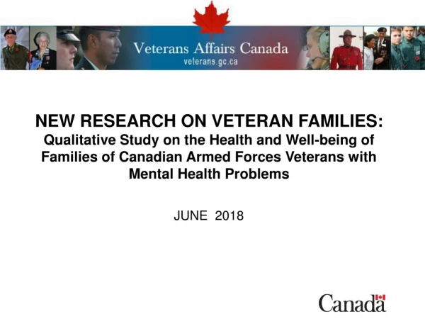 Understanding the Needs of Veteran Families: Building an Evidence Base