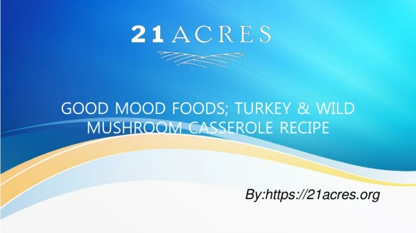 GOOD MOOD FOODS; TURKEY & WILD MUSHROOM CASSEROLE RECIPE
