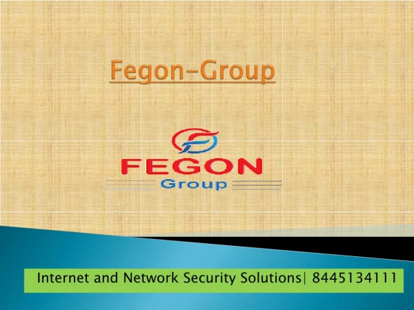 fegon group
