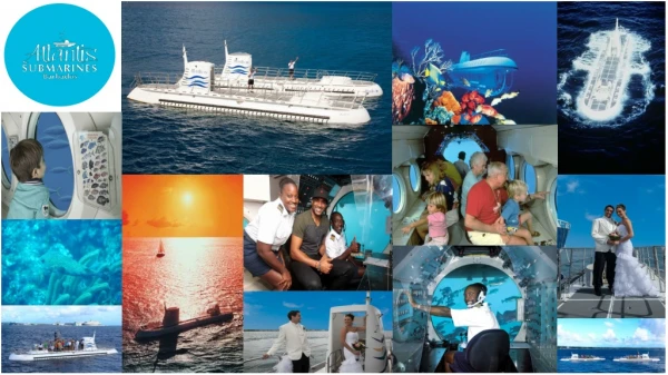 Explore the Caribbean Species of Corals & Fish on a Submarine Day Dive