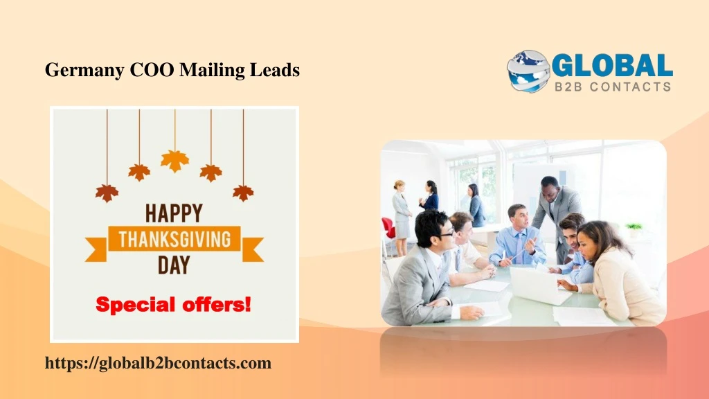 germany coo mailing leads