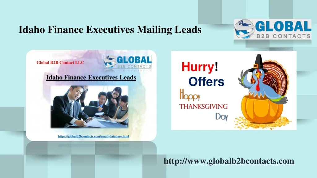 idaho finance executives mailing leads