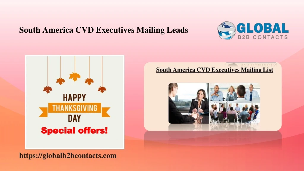 south america cvd executives mailing leads