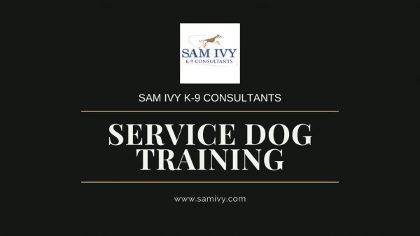 In Home Service Dog and Therapy Dog training In Fort Lauderdale