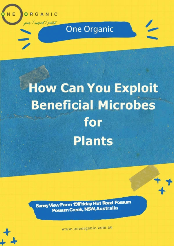 Beneficial Microbes for Plants | Medicinal Flowers Nursery | One Organic