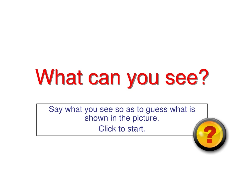 what can you see