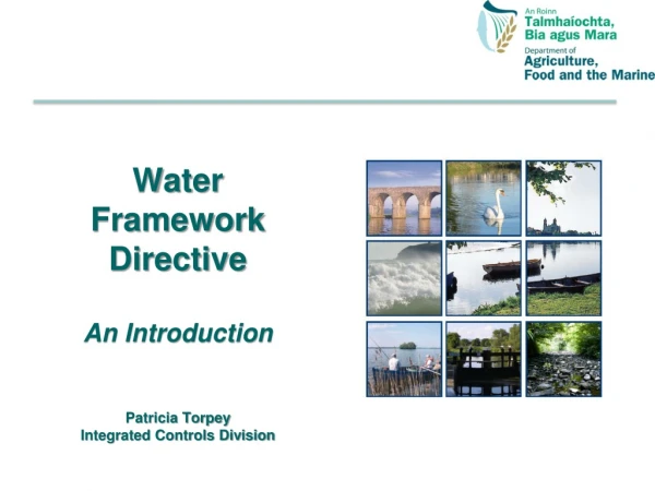 Water Framework Directive An Introduction Patricia Torpey Integrated Controls Division