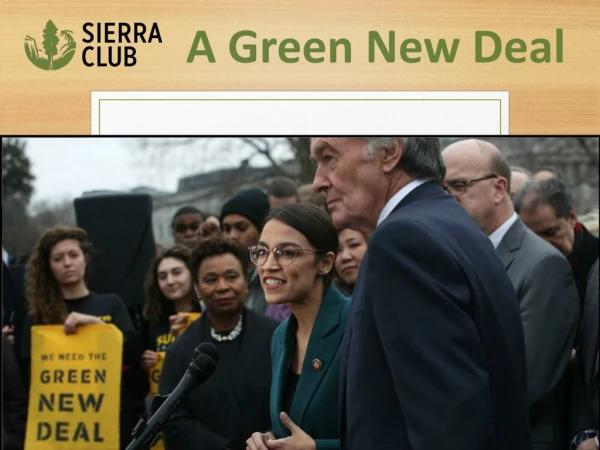 A Green New Deal